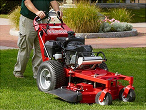 Ferris Walk Behind Mowers