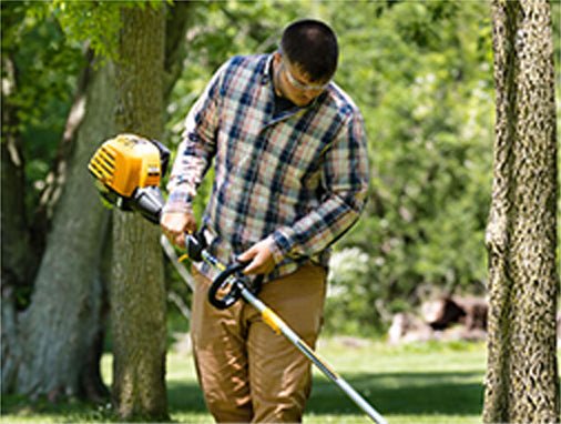 Cub Cadet Handheld